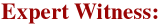Inquire Investigative Services Expert Witness